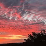 Donna Dillingham - @dillingham.donna - Instagram