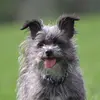 donnadmarie - @donnadmarie - TikTok