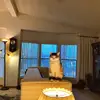 Dona Dodson - @donadodson - TikTok
