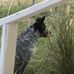 Donna Dodson - Facebook