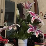 Donna Dominguez - Facebook