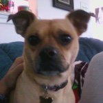 Donna Dorris - @ddorris0825 - Instagram