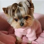 Donna Dorris - @ddorris2023 - Instagram