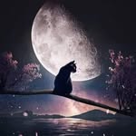 Donna Dotson - @donnadotson13 - Instagram