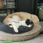Donna J Doty - @dotydonna - Instagram