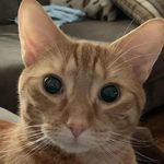 Donna Dow - @donna_dow - Instagram