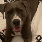 Donna Driver - @donnadriver68 - Instagram