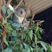 Donna Keevers Driver - Australian author - Facebook