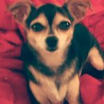 Donna Ducote - @ducotedonna - Instagram
