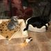 Donna DuFault - Facebook