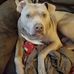Donna Durand - Facebook