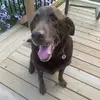 Donna Dutka - @donna.dutka8 - TikTok