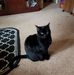 Donna Duvall - Facebook