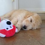 Donna Duvall - @donna.duvall.10 - Instagram