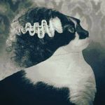 Donna Duvall - @djdduvall - Instagram