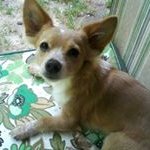 Donna Duvall - @donnaduvall55 - Instagram