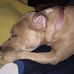 Donna Dight - Facebook