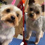 donna.eades - @donnaeades1407 - Instagram