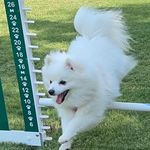 Donna Eads Fernandez - @donna.eads.fernandez - Instagram