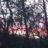 Donna Earnest613 - @donnabearnest - TikTok