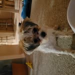 Donna earnest - @dmearn1024 - Instagram