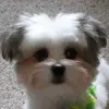 donnaearnest - @donnaearnest - TikTok