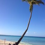 Donna Easton - @donnaeaston53 - Instagram