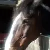 Donna Easton - @donna.easton4 - TikTok