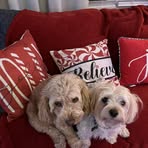 Donna Eckel - Facebook