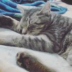 Donna Eddings - @donnaeddings - Instagram