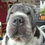 Donna Eddington - @donnaedds - Instagram