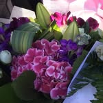 Donna Edge - @donnaedge150 - Instagram