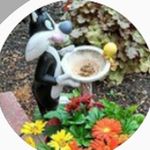 Donna Edgell Curati - @edgelldonna_ - Instagram