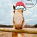 Donna Efinger - Facebook