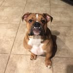 Donna Eggleston-Casey - @dscasey2 - Instagram