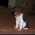 Donna Lynn Jarrell Ellington - Facebook