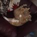 Donna Emigh - Facebook