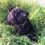 Donna Empson - Facebook