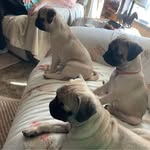 Donna Ethridge - @donna.ethridge.9 - Instagram