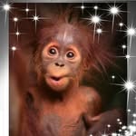 Donna Everhart - @donna.everhart.967 - Instagram