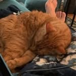 Donna Everhart - @deverhart60 - Instagram