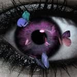 Donna Everhart - @donna.everhart.10 - Instagram