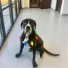 Donna Faison - @donna.faison - TikTok