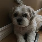 Donna Falconer - @donna.falconer.9887 - Instagram