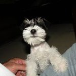 Donna Falcone Tammaro - @tammarodonna - Instagram