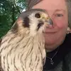 Donna Pickett416 - @falconerdonna - TikTok