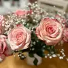 lisadidonnafeeley - @lisadidonnafeeley - TikTok