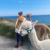 Donna Feeney748 - @donnafeeney748 - TikTok