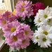 Donna Felt - Facebook