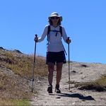 Donna Felt - @donnafelt - Instagram